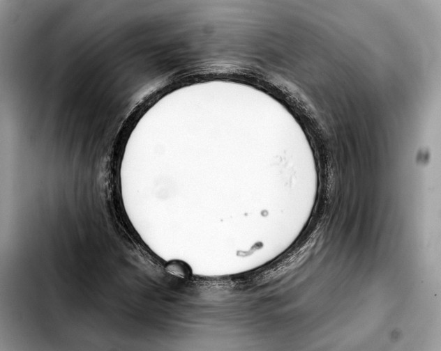 X0000103451210200810101120