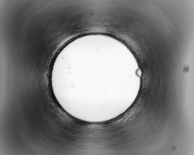 X0000103451212200810101120