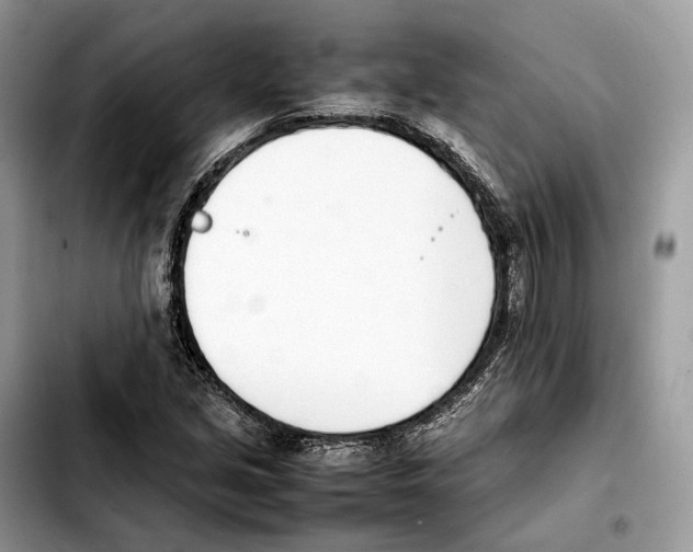 X0000103451213200810101120