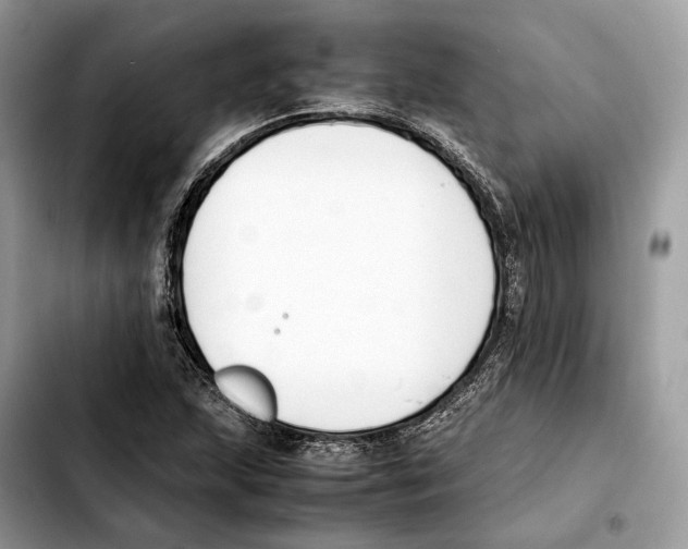 X0000103451215200810101120