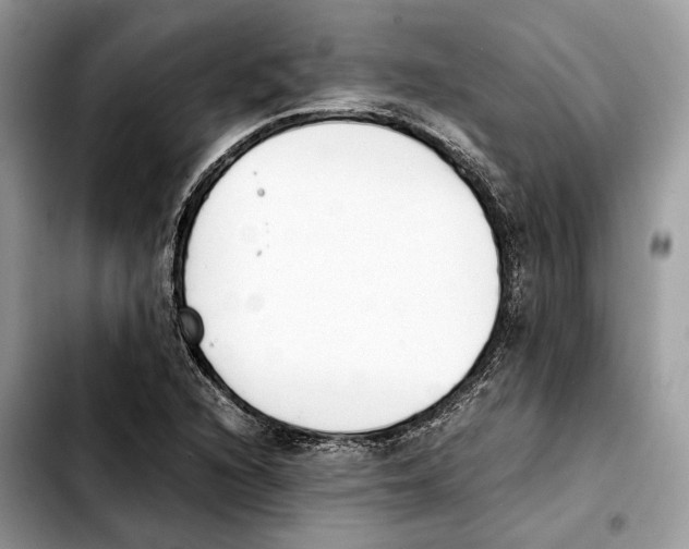 X0000103451216200810101120