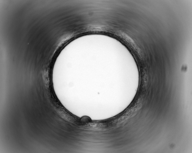 X0000103451218200810101120