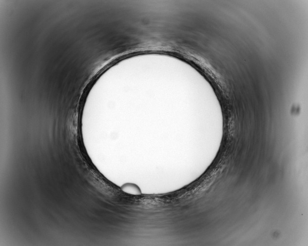 X0000103451220200810101120