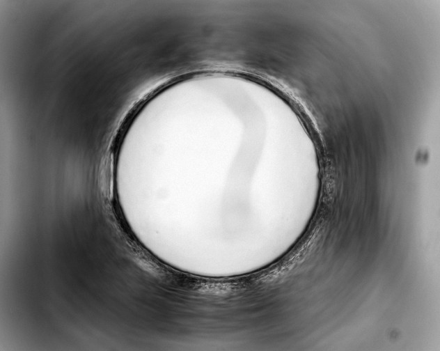 X0000103451223200810101120