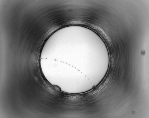 X0000103451225200810101120