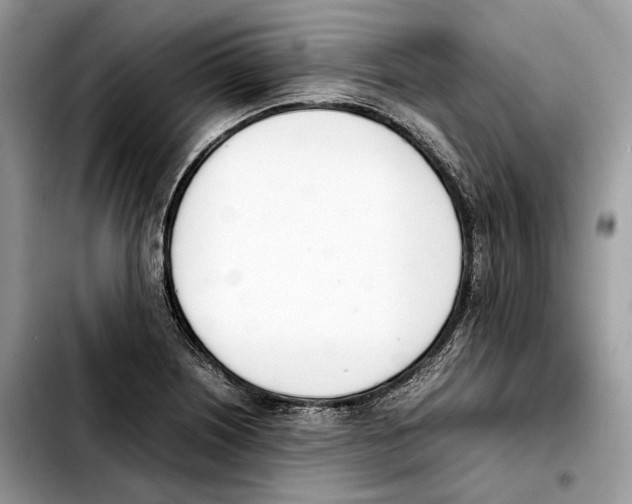 X0000103451226200810101120