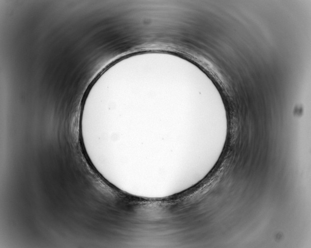 X0000103451228200810101120