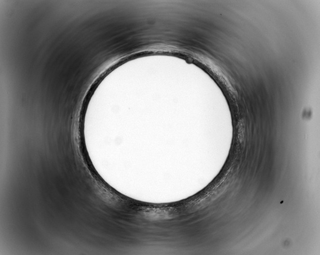 X0000103451229200810101120