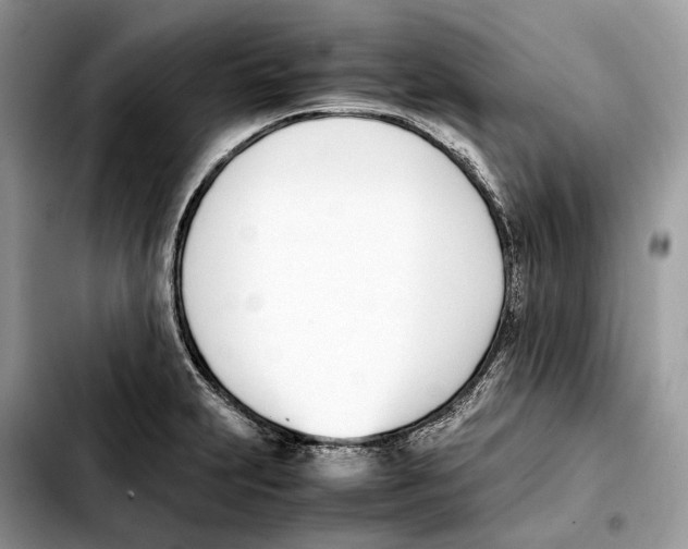 X0000103451231200810101120