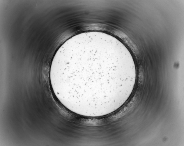 X0000103451233200810101120