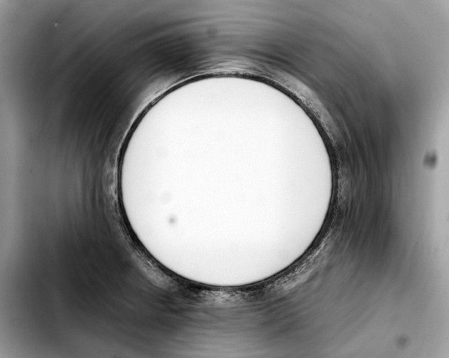 X0000103451234200810101120