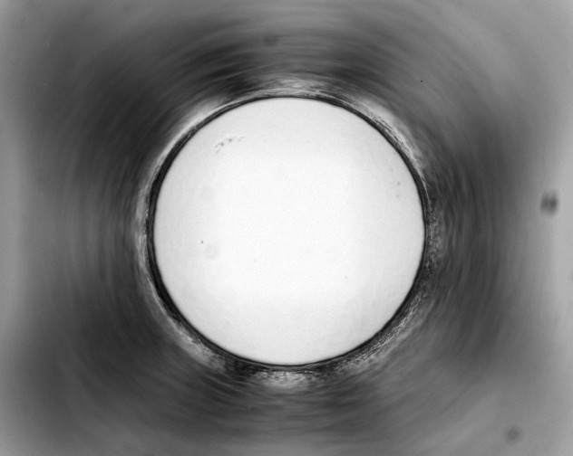 X0000103451235200810101120