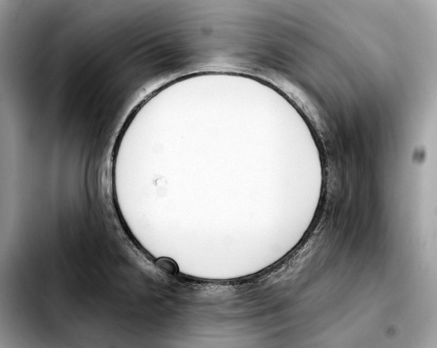 X0000103451238200810101120