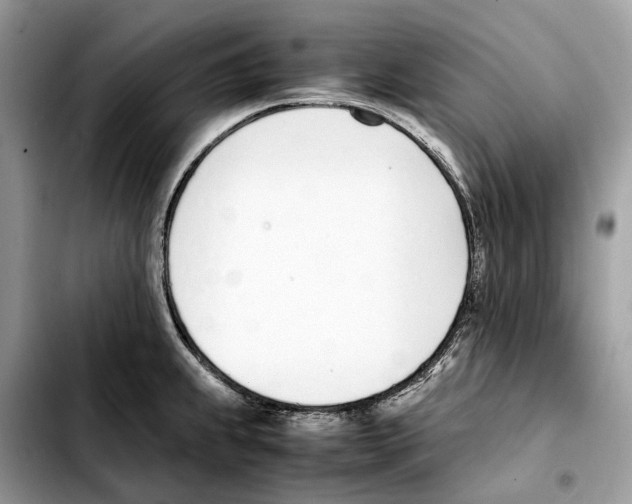 X0000103451239200810101120