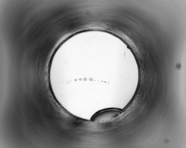 X0000103451240200810101120