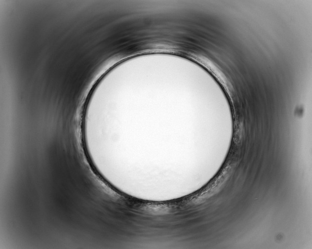 X0000103451243200810101120