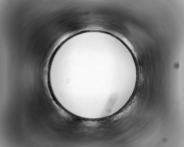 X0000103451245200810101120