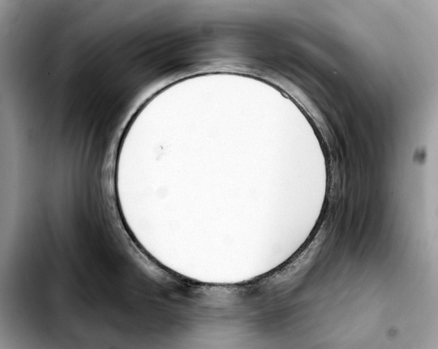 X0000103451246200810101120