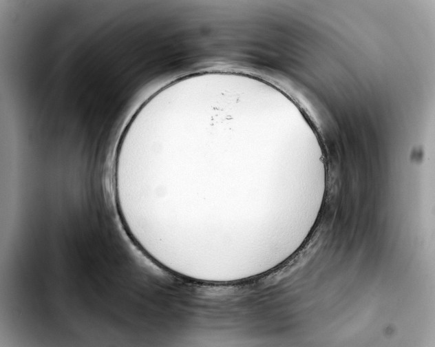 X0000103451247200810101120