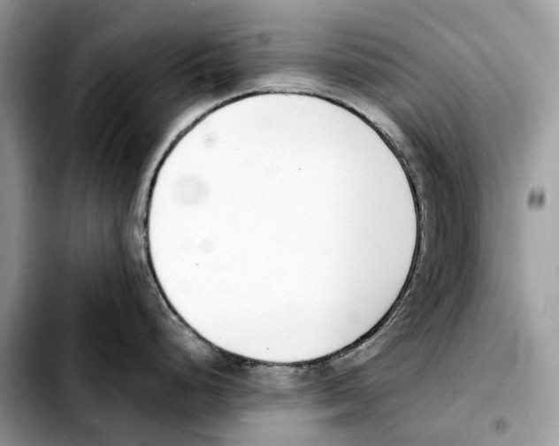 X0000103451248200810101120