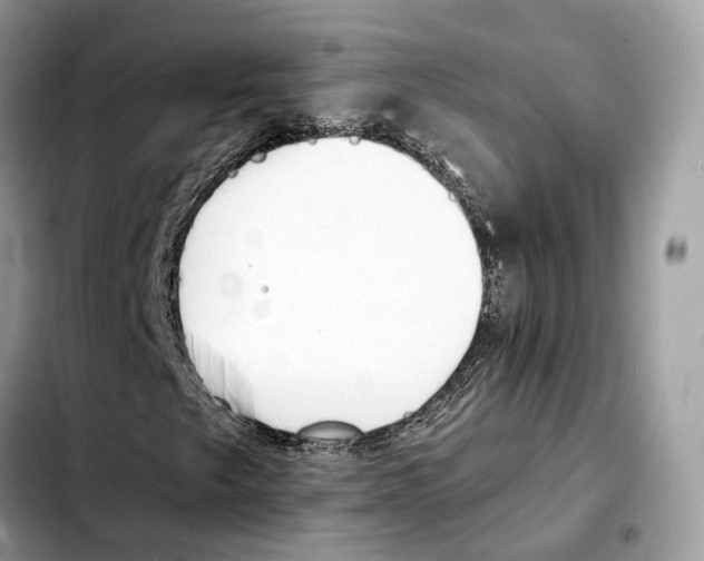 X0000103451249200810101120