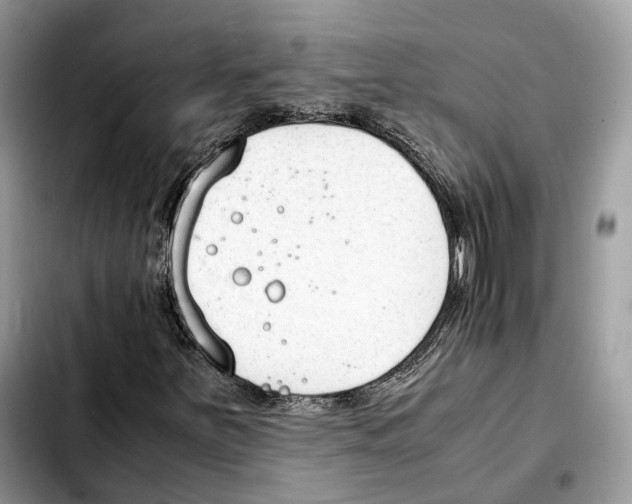 X0000103451251200810101120