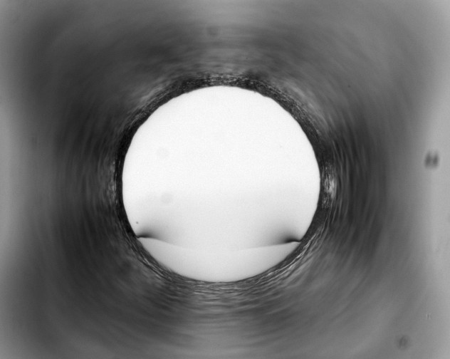 X0000103451252200810101120