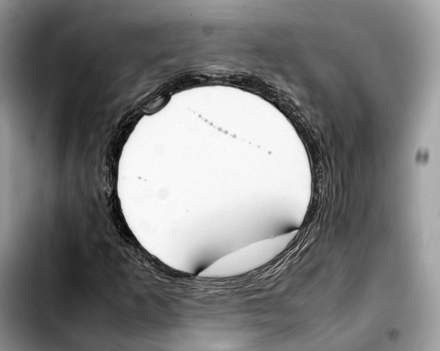 X0000103451253200810101120