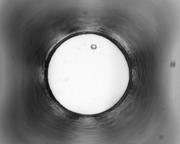 X0000103451260200810101119