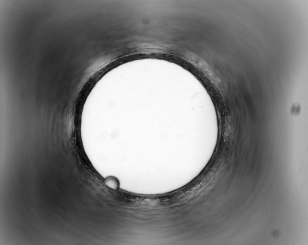 X0000103451261200810101119