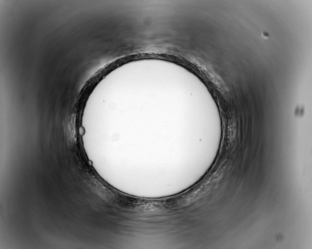 X0000103451262200810101119