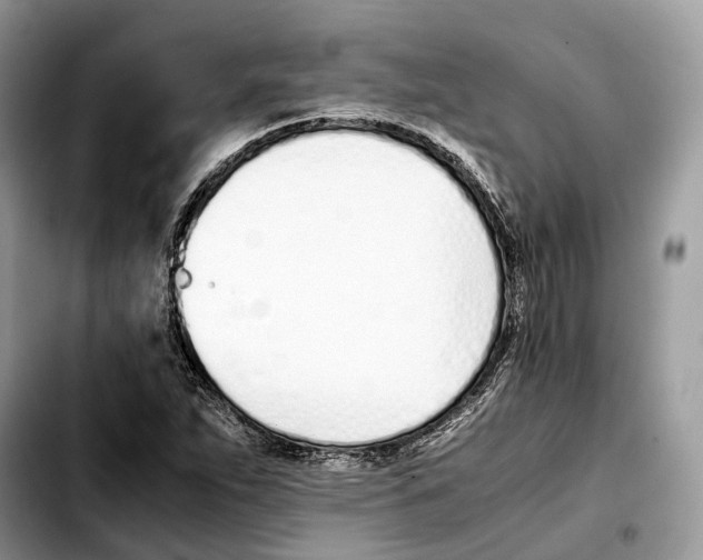 X0000103451263200810101119