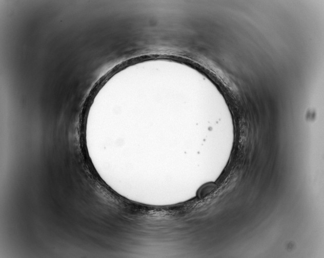 X0000103451264200810101119