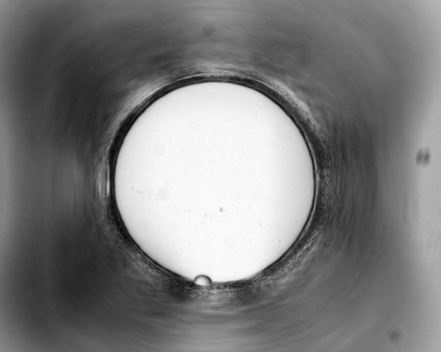 X0000103451269200810101119