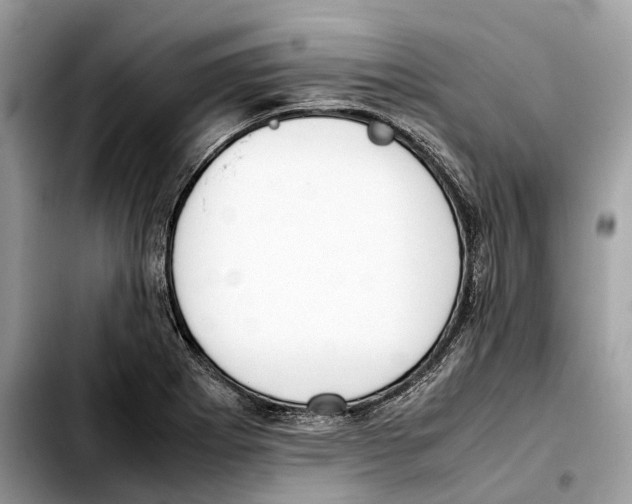 X0000103451273200810101119