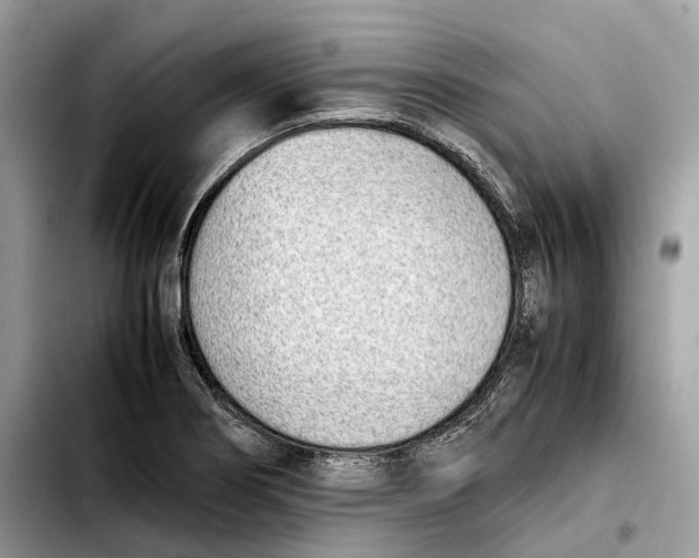 X0000103451274200810101119