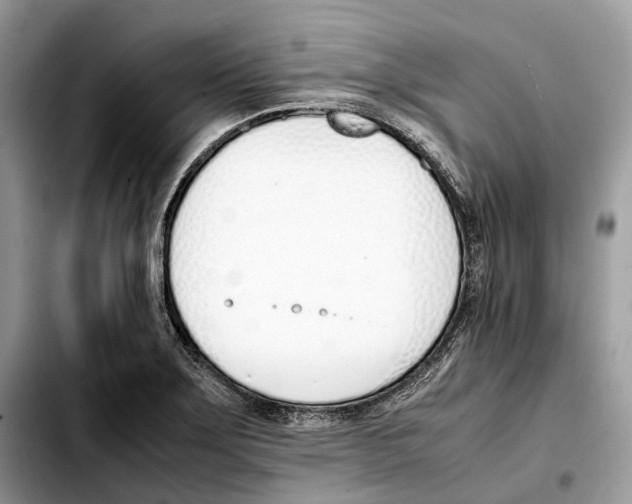 X0000103451275200810101119