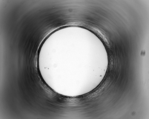 X0000103451276200810101119