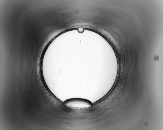 X0000103451277200810101119