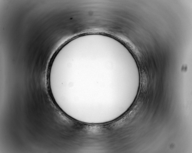 X0000103451278200810101119