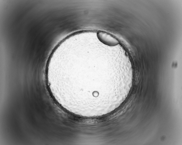 X0000103451279200810101119