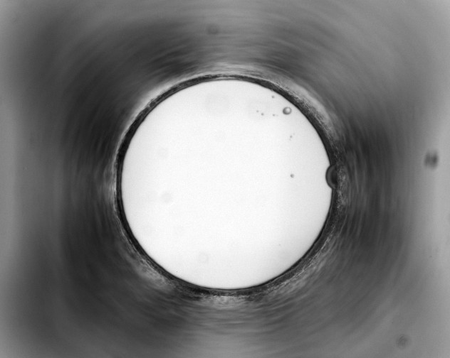 X0000103451280200810101119