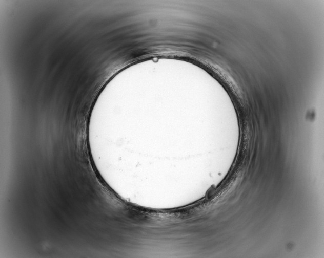 X0000103451281200810101119