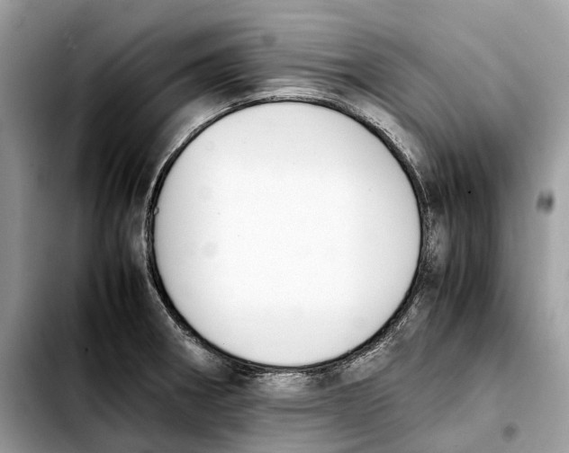 X0000103451282200810101119