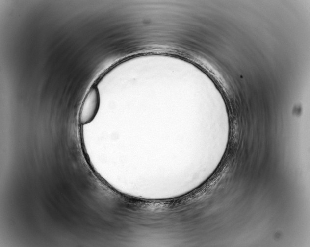 X0000103451283200810101119