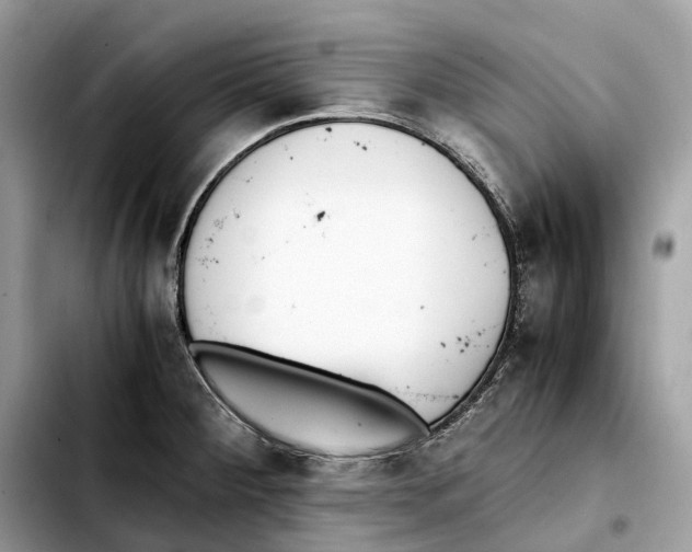 X0000103451284200810101119