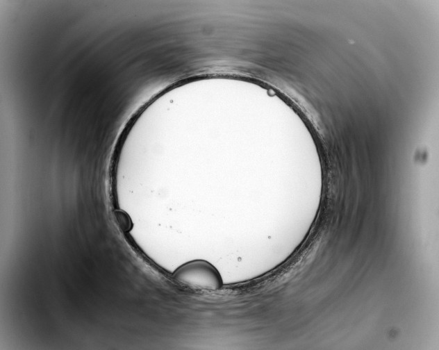 X0000103451285200810101119