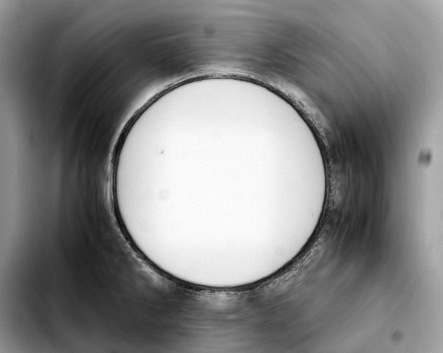 X0000103451286200810101119