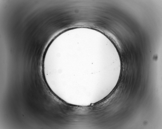 X0000103451288200810101119