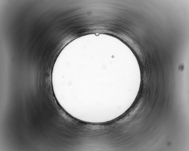 X0000103451289200810101119